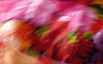 シティ・フィット カタログ